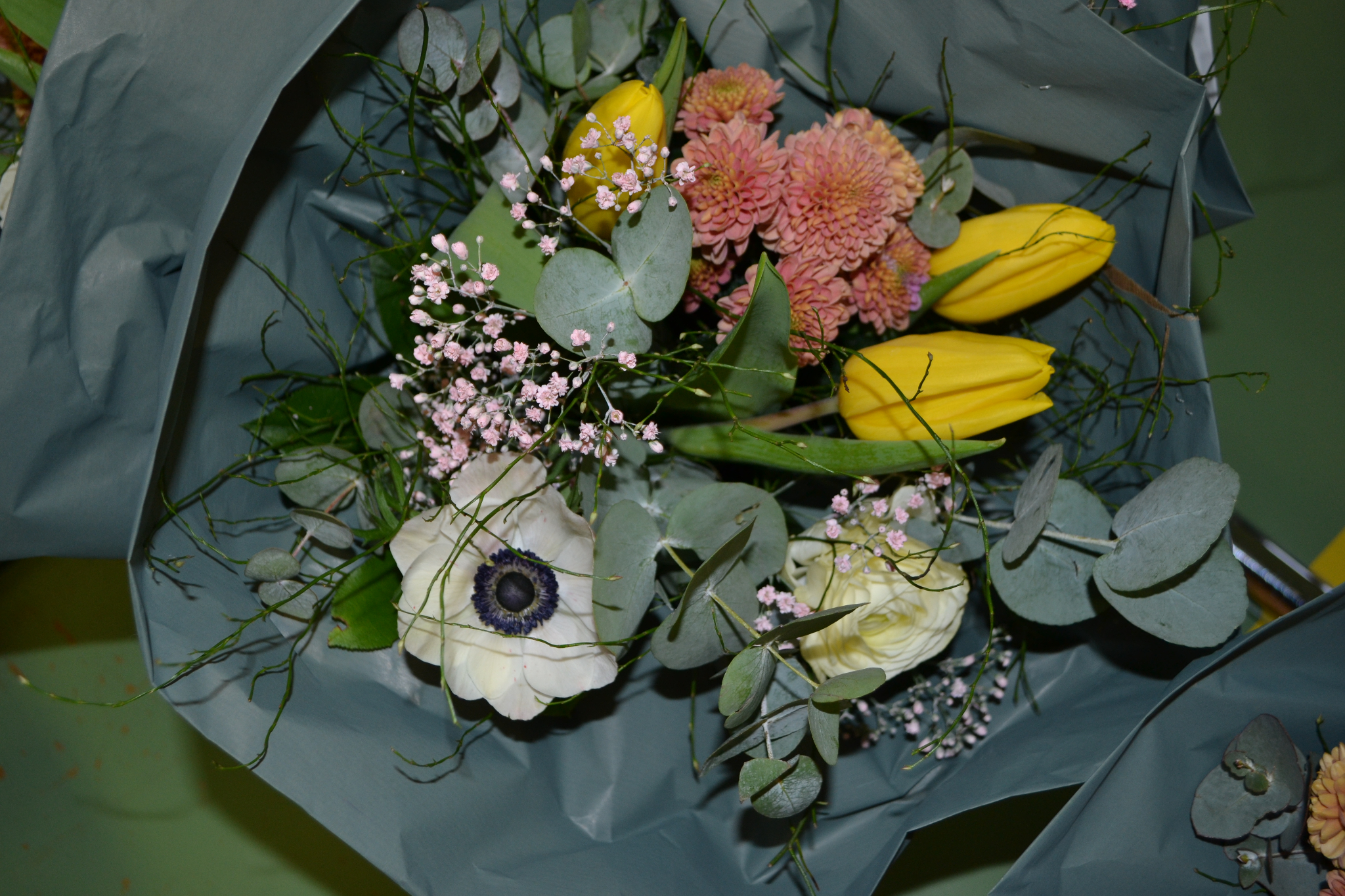 Bild (3)